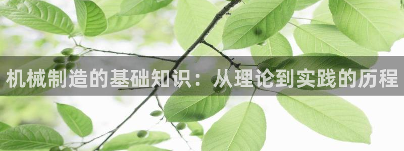 云顶国际投资有限公司怎么样
