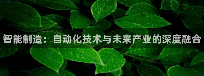 云顶国际服账号交易