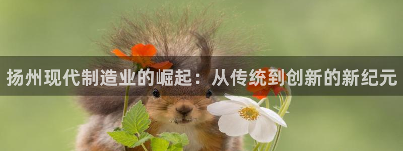 云顶国际黑款