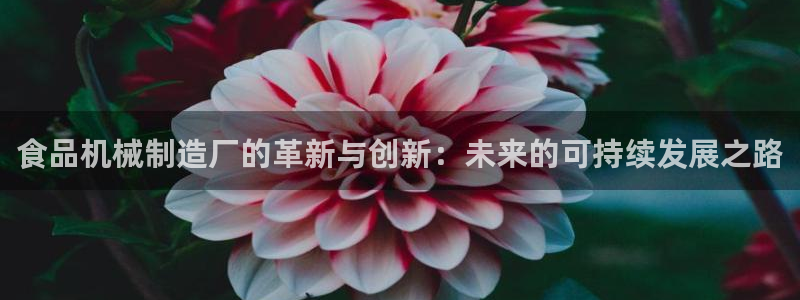 云顶国际服修改不了传说装备