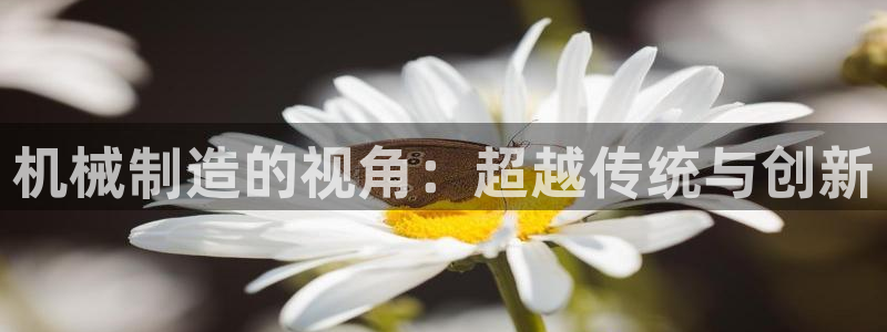 云顶国际高中d s e班学费多少