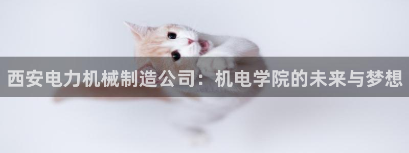 云顶国际不出款怎么办