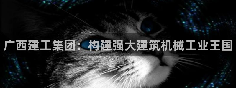 云顶集团网投领跑者