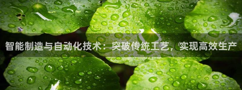云顶国际app官网下载安装