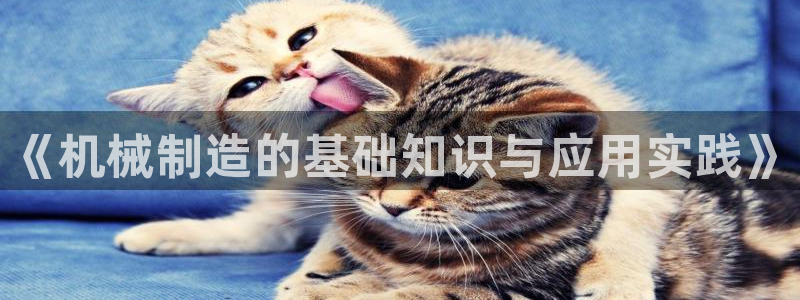 云顶国际服怎么玩