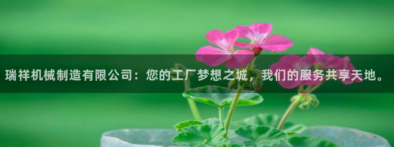 云顶国际服账号交易