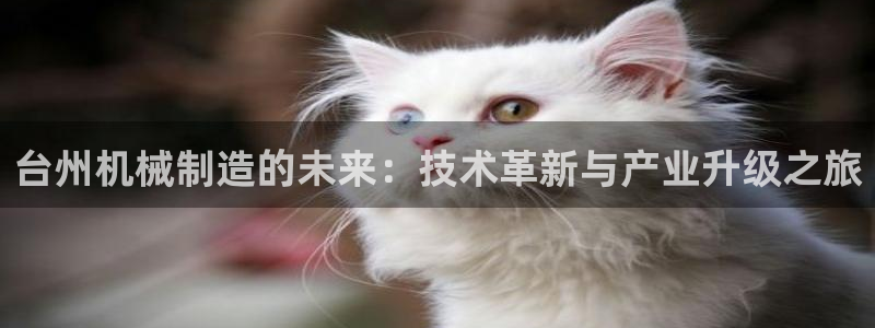 云顶小学国际班学费