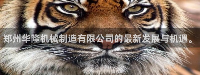 云顶集团是真实的吗