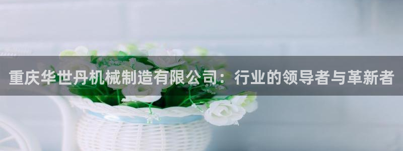 云顶集团有限公司简介资料