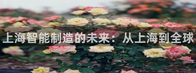 云顶国际下载安装