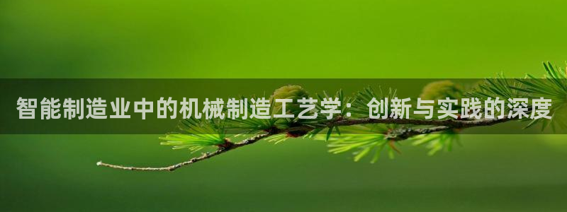 云顶国际商业广场 停车