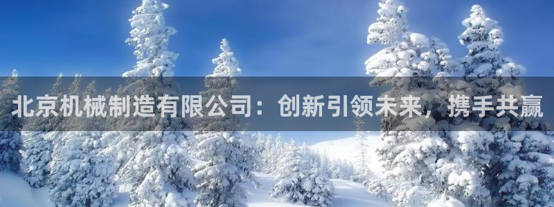 云顶集团董事长林东简历图片