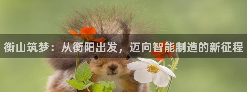 云顶国际培训中心怎么样