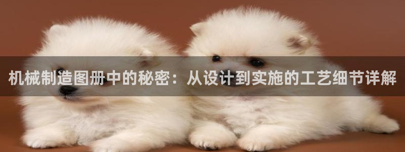 云顶国际app官方