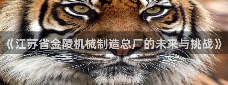 云顶游戏网址