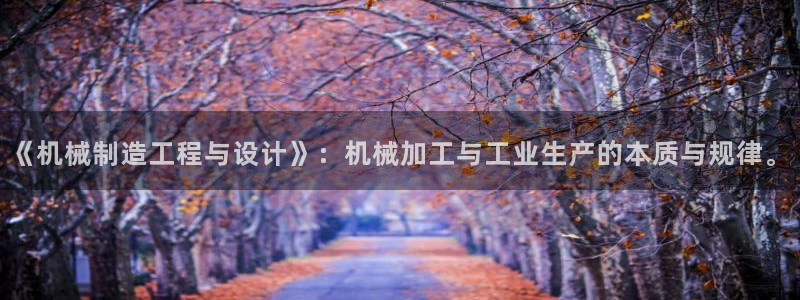 云顶yd官网2021