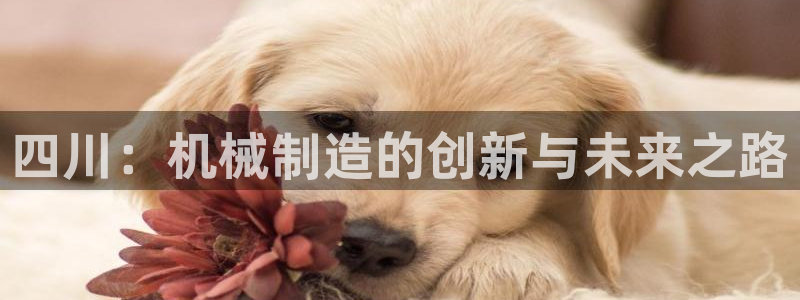 云顶集团网站注册