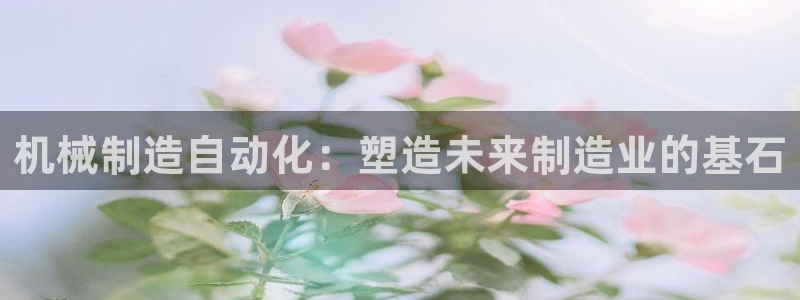 云顶集团中国公司