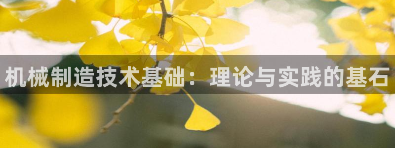 云顶国际KTV商务会所(新华街南段店)简介