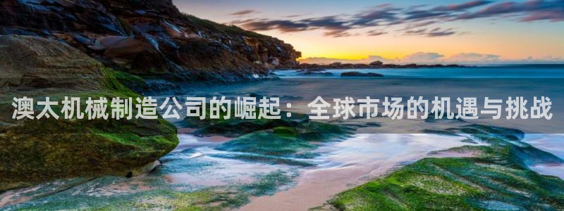 登录云顶集团的网站