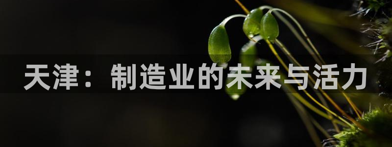 云顶集团注册送28官网