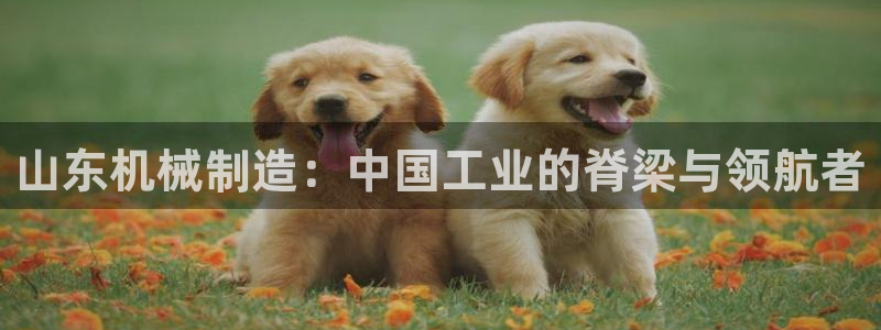 云顶国际公馆是公寓吗还是住宅