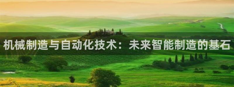 云顶国际麻将胡了几张牌