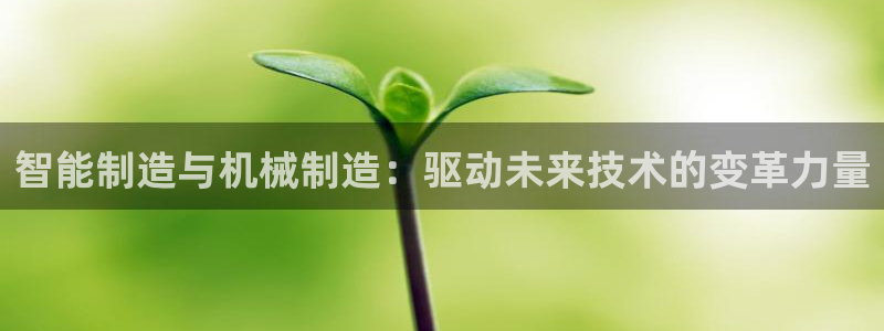 中国云顶控股集团