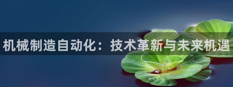 云顶国际app官方下载安装最新版