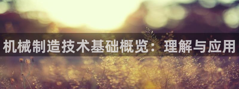 云顶国际黑网不出款了