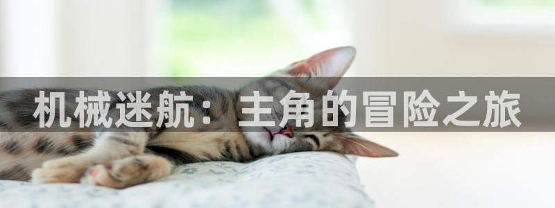 太原云顶国际酒店很吓人