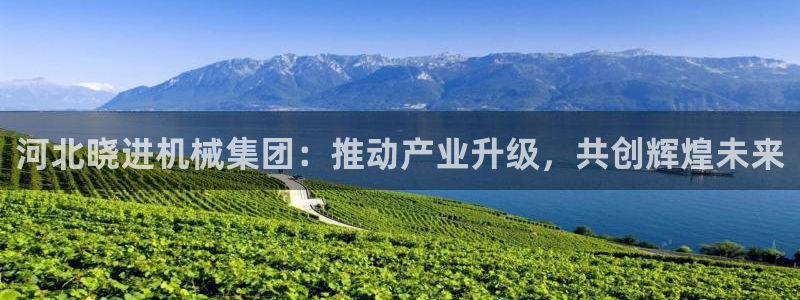 云顶国际区块链怎么样啊