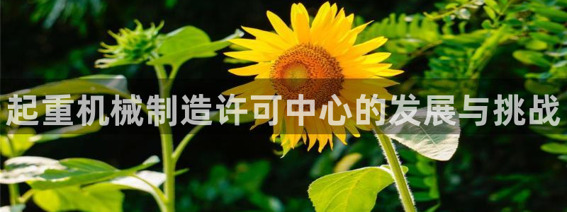 云顶集团下载app