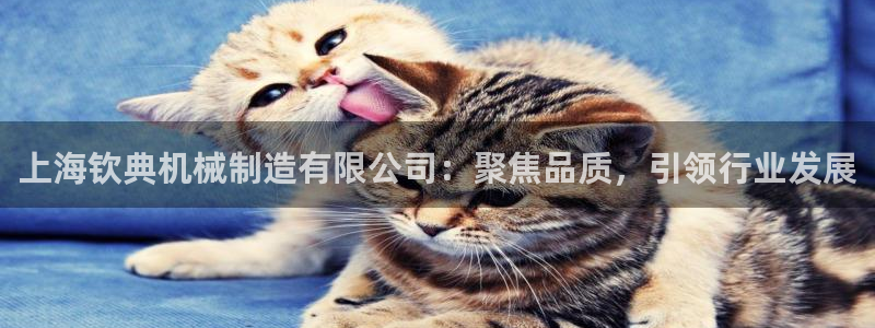 云顶国际服维护时间