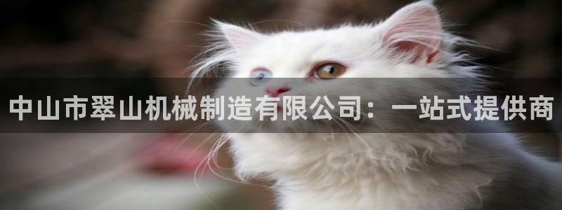 云顶国际网站合法吗