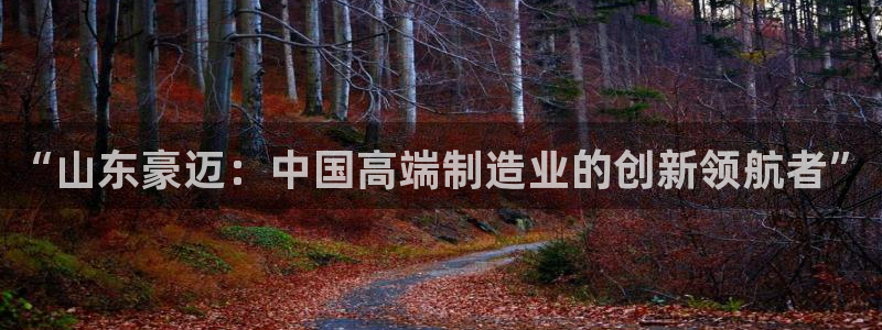 云顶国际能提现吗安卓