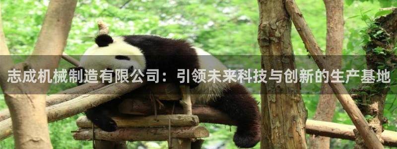 云顶国际停车费多少