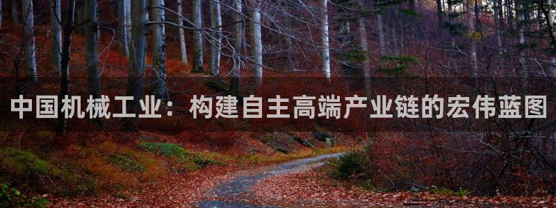 云顶国际服下载