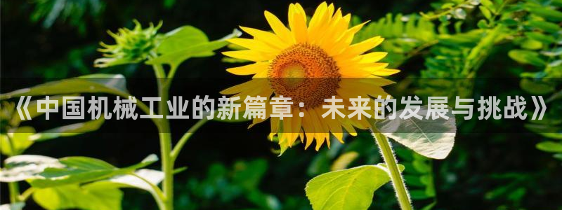 云顶国际大酒店停车场收费