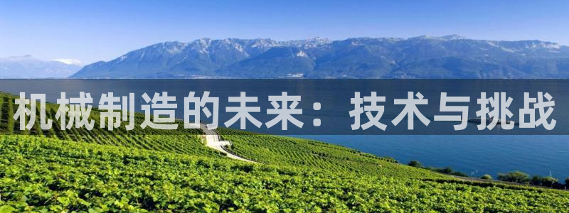 云顶国际服什么时候更新s9.5