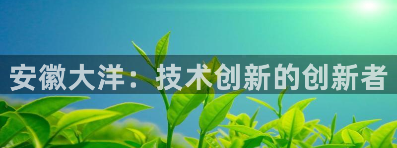 云顶国际服更新时间是多久