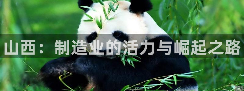云顶国际提现让你拍身份证