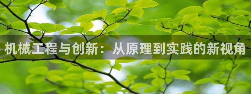 云顶电竞app怎么样