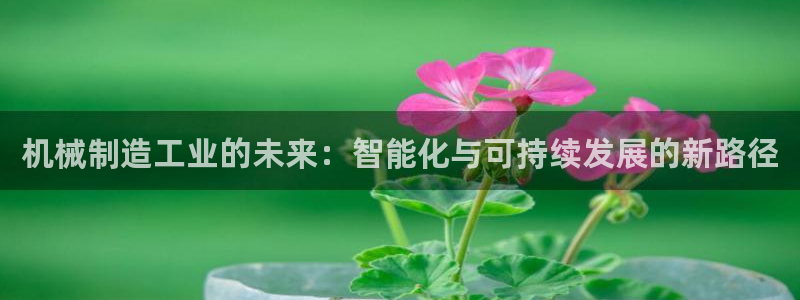 云顶集团总裁