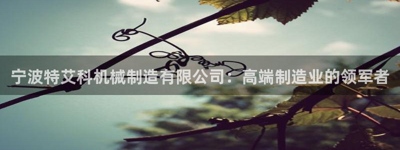 云顶国际游戏平台有哪些